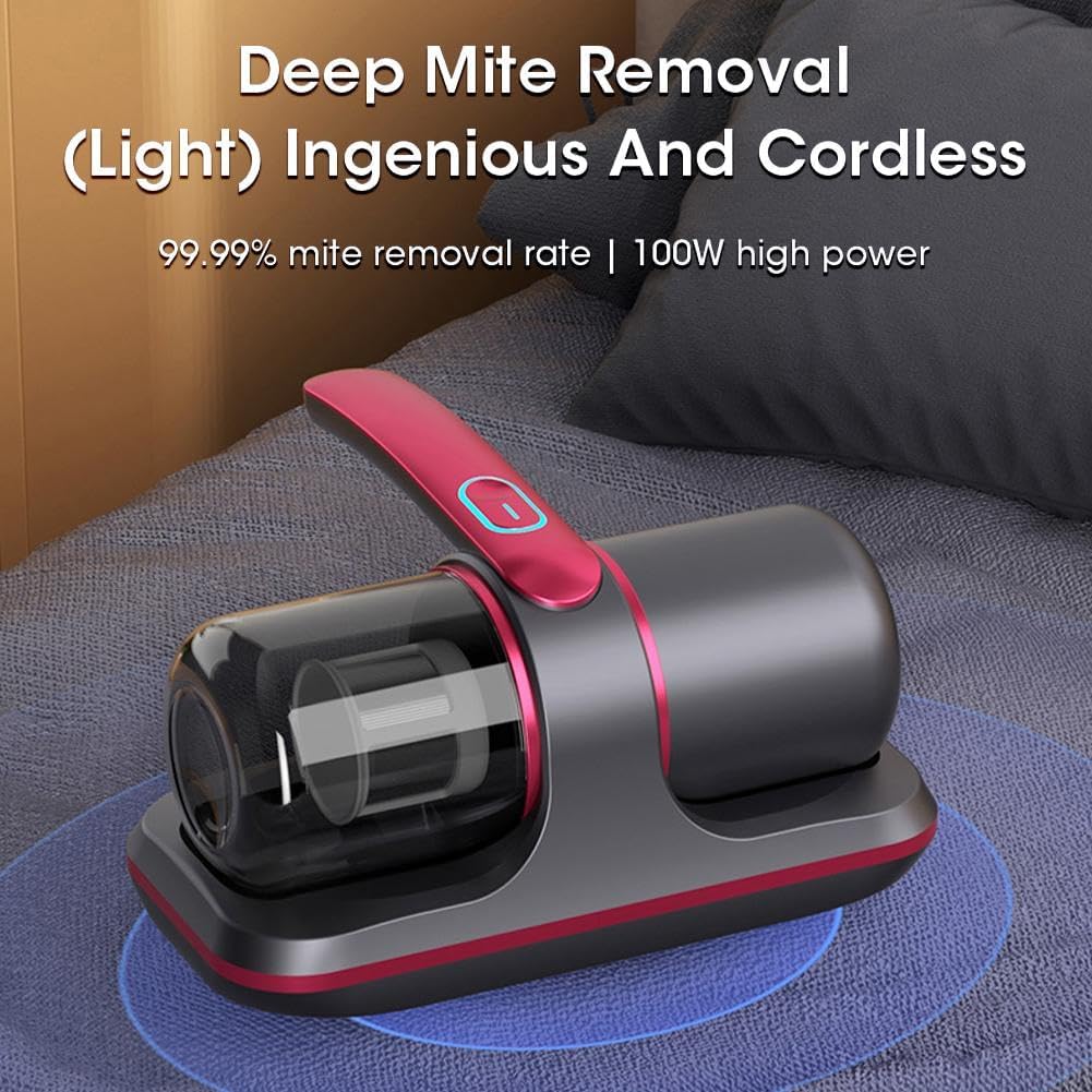 Deep vacuum & Mite Removal